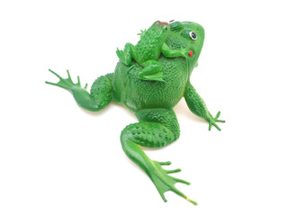 toy frog on white background