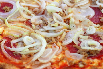 Pizza mit Zwiebeln, Thunfisch und Salami