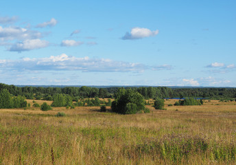  field in the forest
