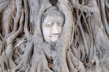 Buddha statue at Wat Mahathat temple, Ayutthaya, Thailand