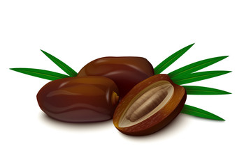Dates with palm leaves on white background.