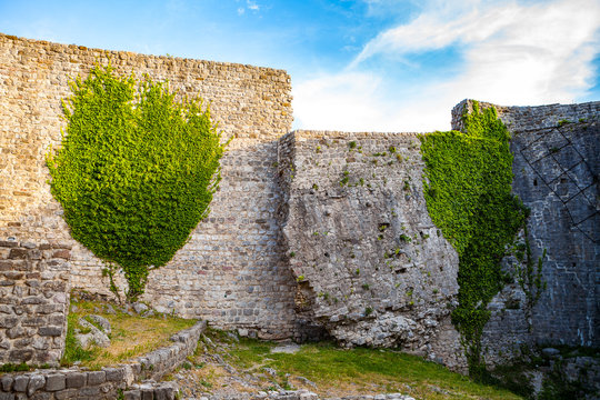 Medieval wall's ruins with greenery in Old town Bar, Montenegro,