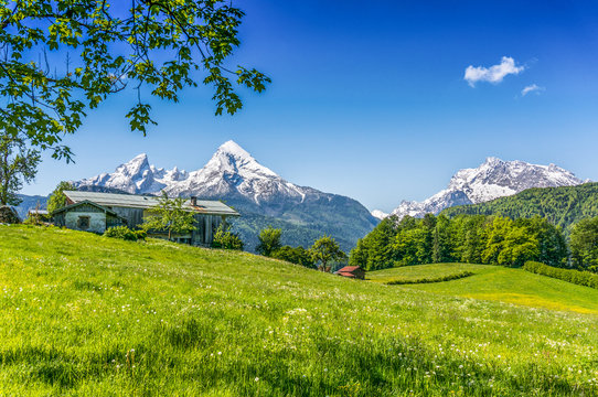 Idyllic mountain scenery in the Alps with green meadows and farmhouse in springtime