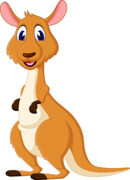 illustration of Cute kangaroo cartoon