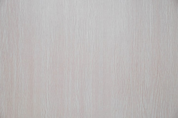 White wood wall texture