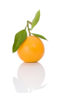 One orange isolated on white.