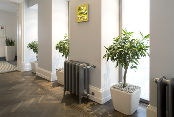 Modern hall interior in private house.  Hall, waiting room.