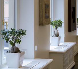 Modern hall interior in private house.  Hall, waiting room.