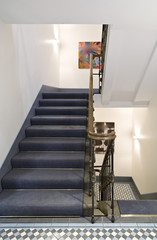 Modern hall interior in private house.  Stairs.