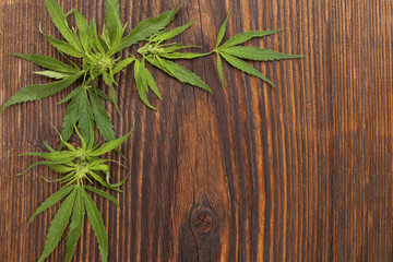Wooden cannabis background.