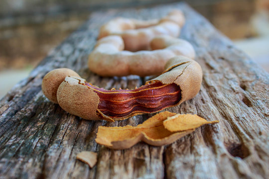 The tamarind on the wooden floor