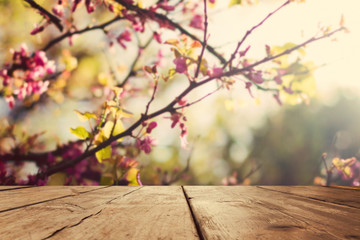 Naklejka na ściany i meble Empty wooden vintage table board over spring blossom bokeh background