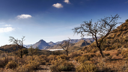 cabo cope-puntas de calnegre Karge Landschaft Südosten Spanien