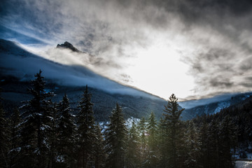 Trees in Front of Majestic Mountains