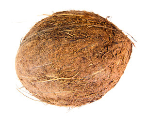Coconut Isolated on a White Background
