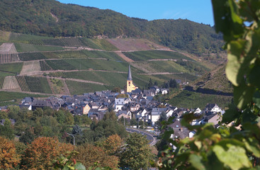 Senheim