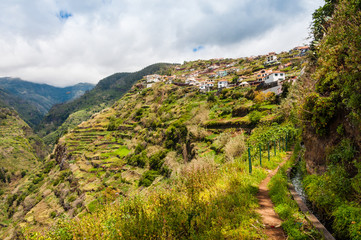 Levada bei Lombada im Tal der Ribeira da Ponta do Sol; Madeira; Portugal