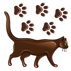Cat & paw prints