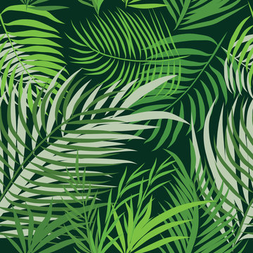 Seamless pattern leaves of palm tree.