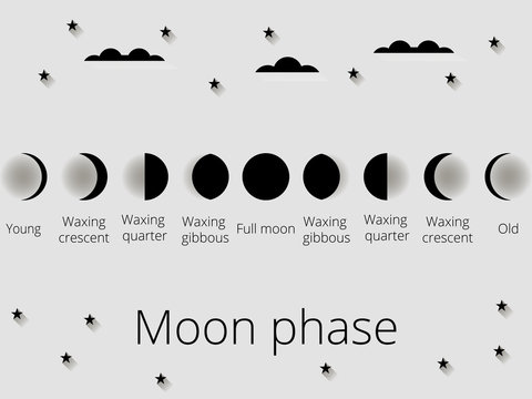 The phases of the moon. Vector illustration.