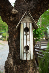 Old White twin bird house