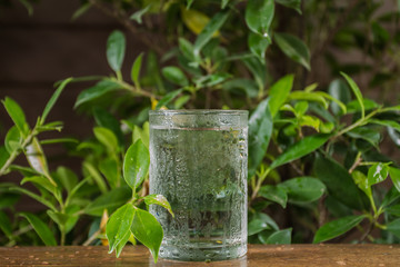 glass of water on wood table