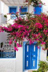 Fototapeta na wymiar Traditional greek house with flowers in Oia village on Santorini island, Greece