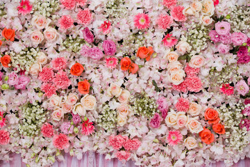 Beautiful flowers background