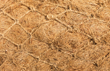 Dry Flax Fiber