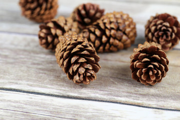 Pine cones