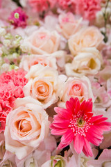 Beautiful flowers background