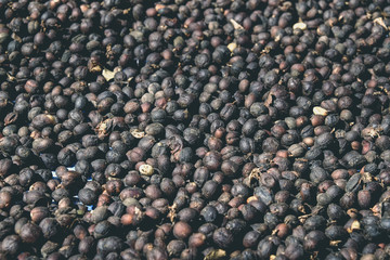 dried berries coffee with filter effect retro vintage style