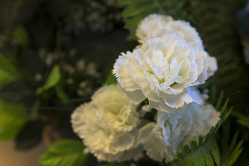 White artificial flower in the garden.