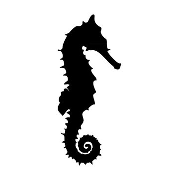 Black seahorse vector