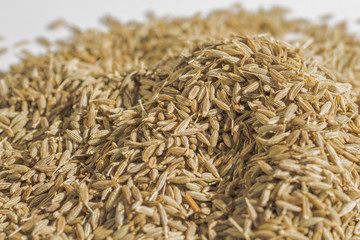 Cumin, a spice used all over the world.Caraway