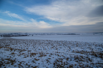 winterlicher Neusiedler See