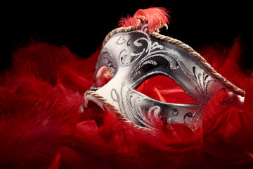 mask carnival in the midst of red feathers