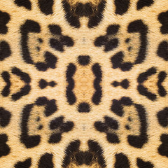 Leopard skin texture for background