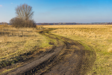Fototapeta na wymiar Classic landscape with meandering earth road on a meadow-land at fall season in Poltavskaya oblast, Ukraine