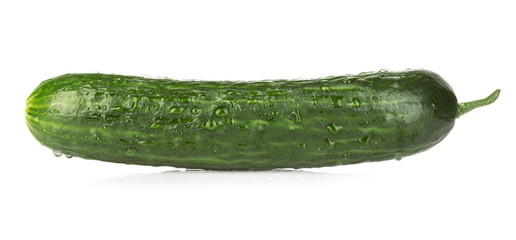 Fresh ripe green cucumber isolated on white background.