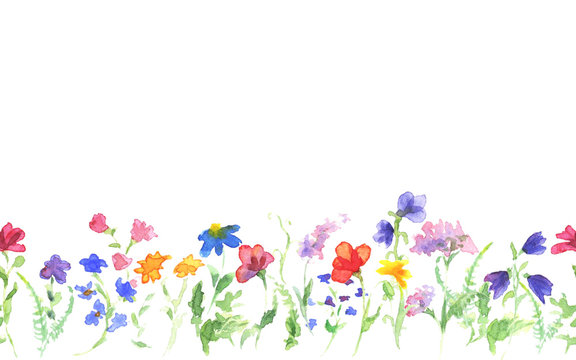 Background with hand drawing watercolor wild flowers on white. Seamless banner. Hand painting color copy space border.