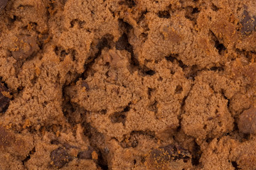 Chocolate chip cookies isolated on white