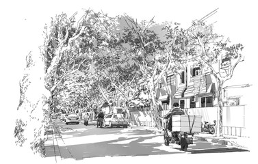 sketch of street covered with arched tree branches,French Concession,Shanghai © grandfailure