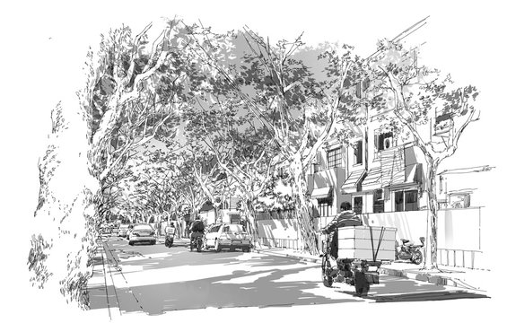 sketch of street covered with arched tree branches,French Concession,Shanghai