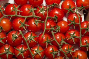 red, shiny delicious tomatoes