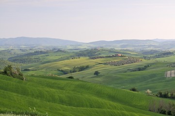 Obraz premium view of the landscape in the Crete Senesi