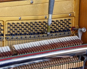 inside of a piano with strings