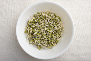 Fototapeta na wymiar Bowl of mung bean sprouts