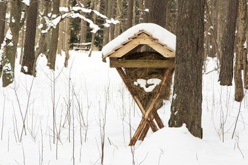 Feed trough in winter forest