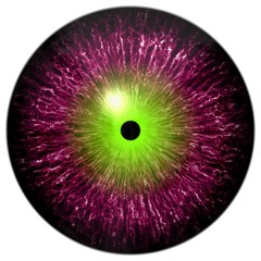 Purple red alien, cat or reptile eye with neon green circle around the pupil